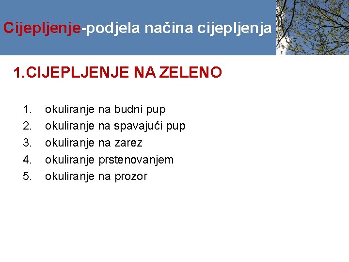 Cijepljenje-podjela načina cijepljenja 1. CIJEPLJENJE NA ZELENO 1. 2. 3. 4. 5. okuliranje na