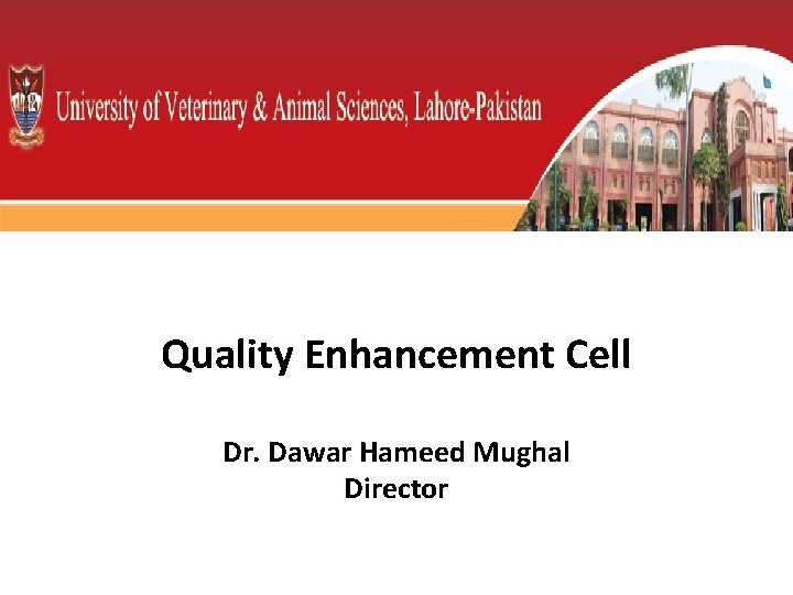 Quality Enhancement Cell Dr. Dawar Hameed Mughal Director 