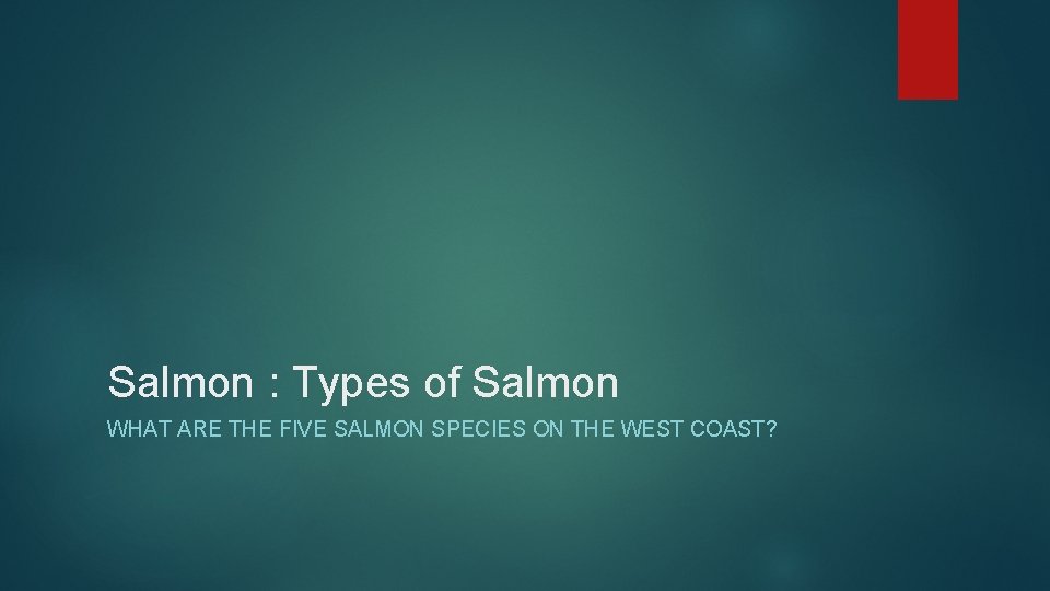 Salmon : Types of Salmon WHAT ARE THE FIVE SALMON SPECIES ON THE WEST