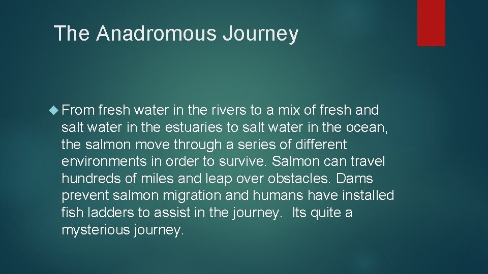 The Anadromous Journey From fresh water in the rivers to a mix of fresh