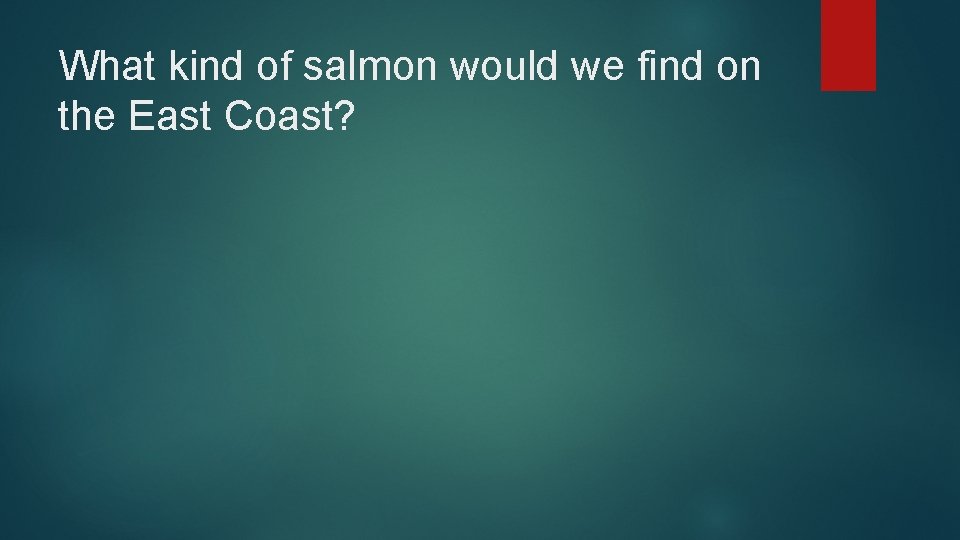 What kind of salmon would we find on the East Coast? 