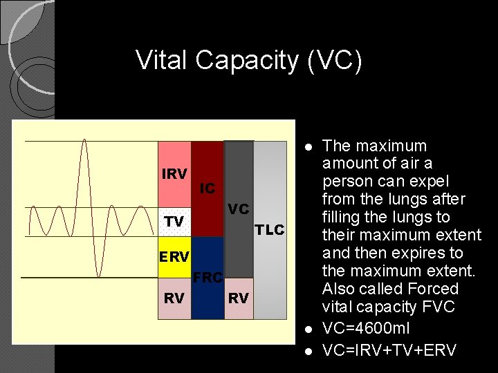 Vital Capacity (VC) l IRV IC VC TV TLC ERV FRC RV RV l