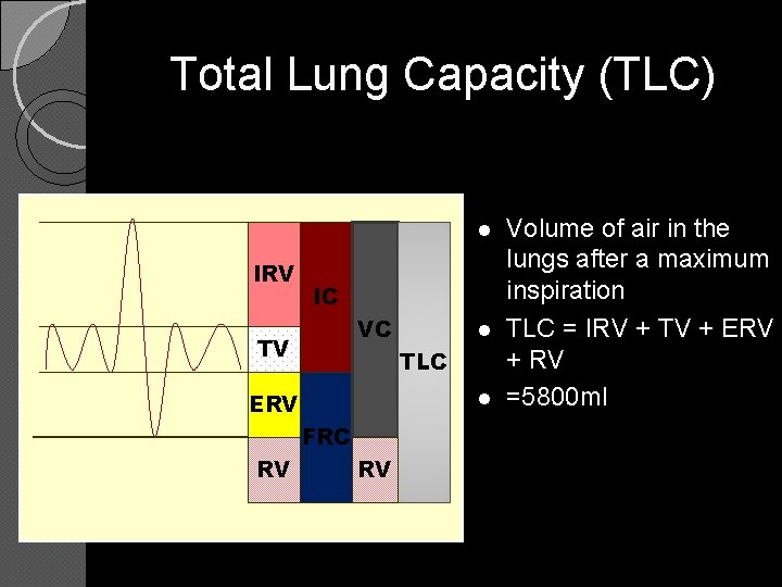 Total Lung Capacity (TLC) l IRV IC VC TV TLC l ERV FRC RV
