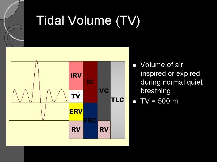 Tidal Volume (TV) l IRV IC VC TV TLC ERV FRC RV RV l