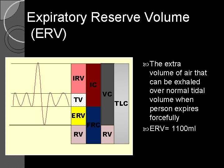 Expiratory Reserve Volume (ERV) The IRV IC VC TV TLC ERV FRC RV RV