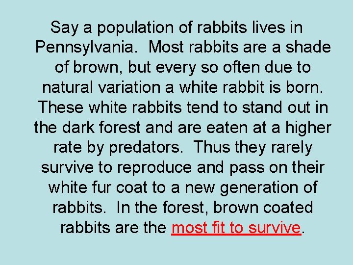 Say a population of rabbits lives in Pennsylvania. Most rabbits are a shade of