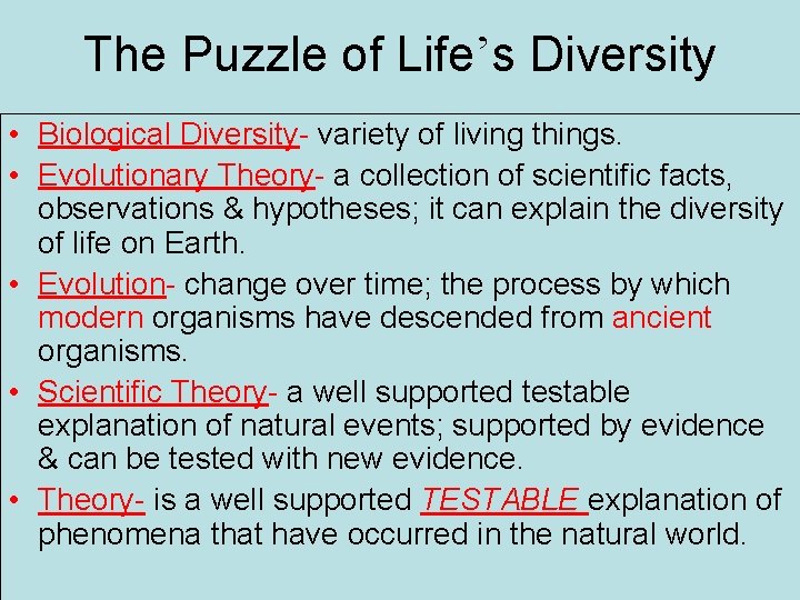 The Puzzle of Life’s Diversity • Biological Diversity- variety of living things. • Evolutionary