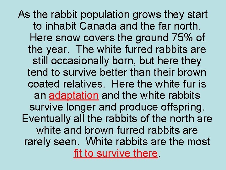 As the rabbit population grows they start to inhabit Canada and the far north.