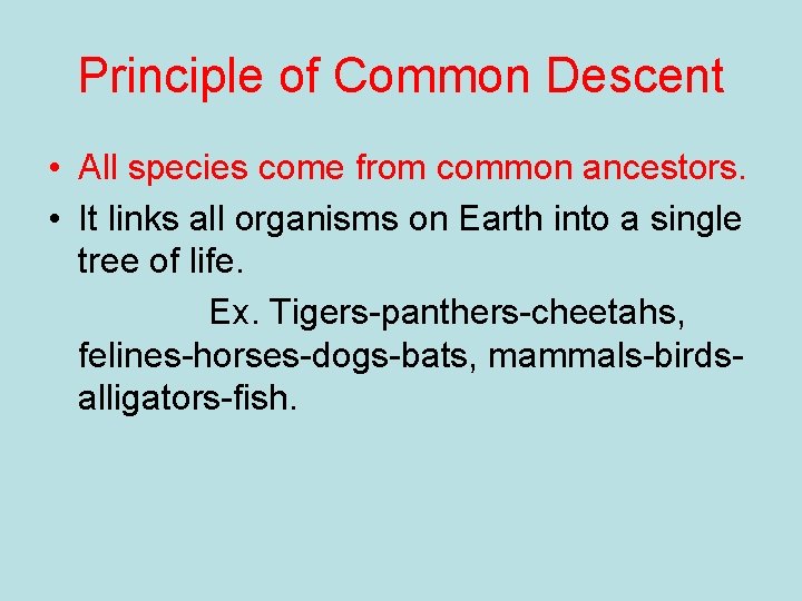 Principle of Common Descent • All species come from common ancestors. • It links