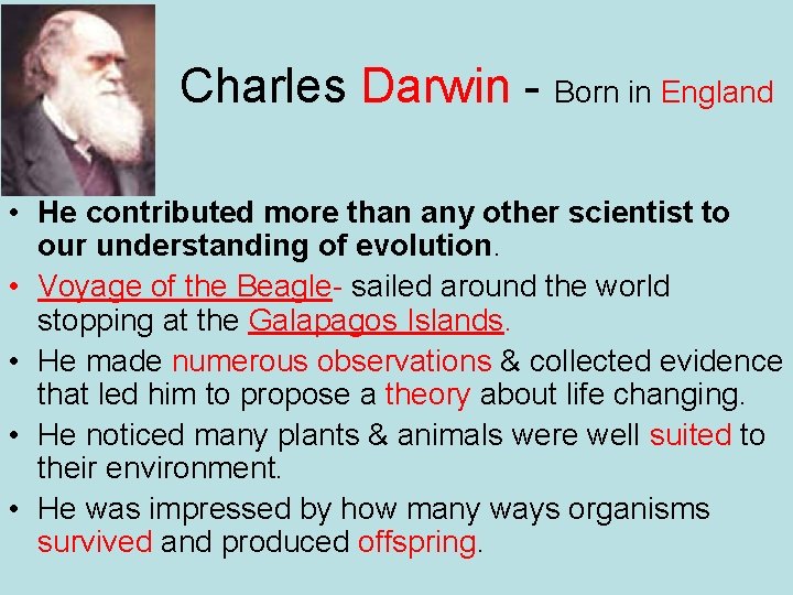 Charles Darwin - Born in England • He contributed more than any other scientist