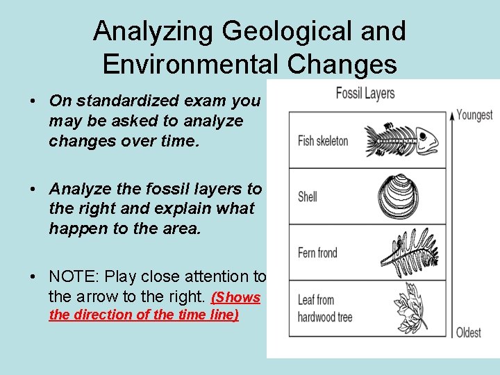 Analyzing Geological and Environmental Changes • On standardized exam you may be asked to