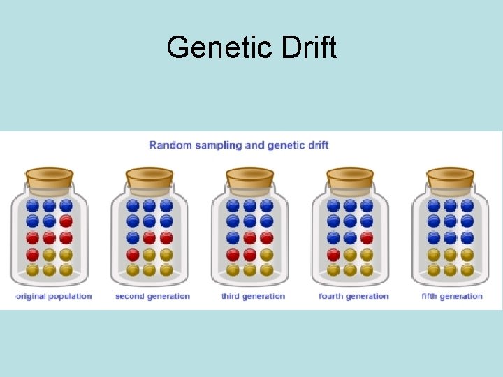 Genetic Drift 