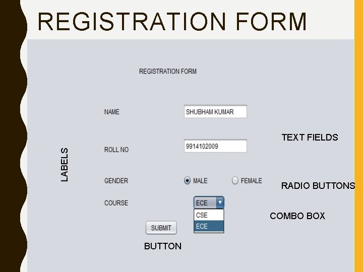 REGISTRATION FORM LABELS TEXT FIELDS RADIO BUTTONS COMBO BOX BUTTON 