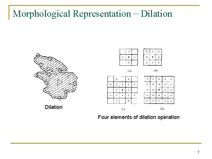 Morphological Representation－Dilation Four elements of dilation operation 7 