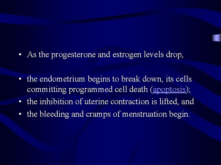 • As the progesterone and estrogen levels drop, • the endometrium begins to • As the progesterone and estrogen levels drop, • the endometrium begins to