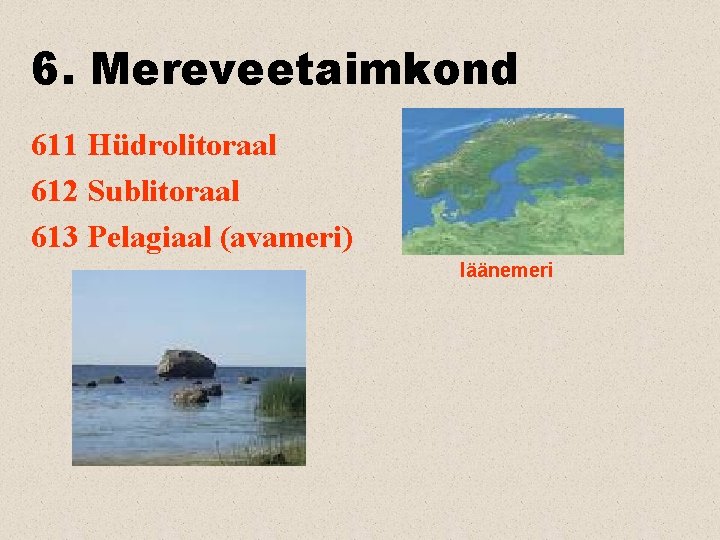 6. Mereveetaimkond 611 Hüdrolitoraal 612 Sublitoraal 613 Pelagiaal (avameri) läänemeri 