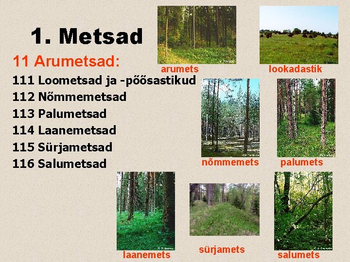 1. Metsad 11 Arumetsad: arumets 111 Loometsad ja -põõsastikud 112 Nõmmemetsad 113 Palumetsad 114