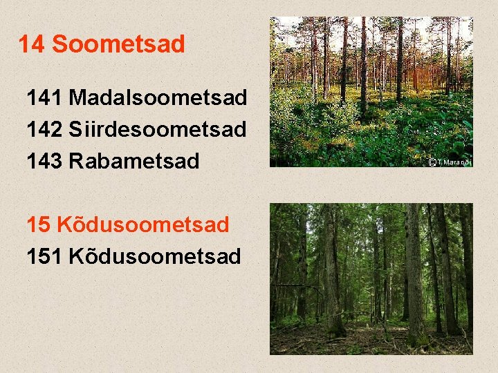 14 Soometsad 141 Madalsoometsad 142 Siirdesoometsad 143 Rabametsad 15 Kõdusoometsad 151 Kõdusoometsad 