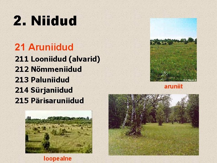 2. Niidud 21 Aruniidud 211 Looniidud (alvarid) 212 Nõmmeniidud 213 Paluniidud 214 Sürjaniidud 215