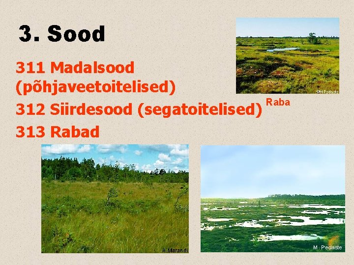 3. Sood 311 Madalsood (põhjaveetoitelised) Raba 312 Siirdesood (segatoitelised) 313 Rabad 