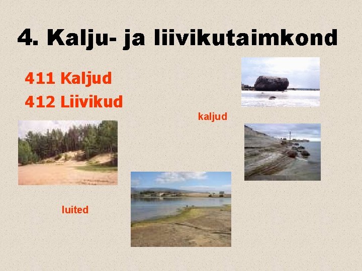 4. Kalju- ja liivikutaimkond 411 Kaljud 412 Liivikud kaljud luited 