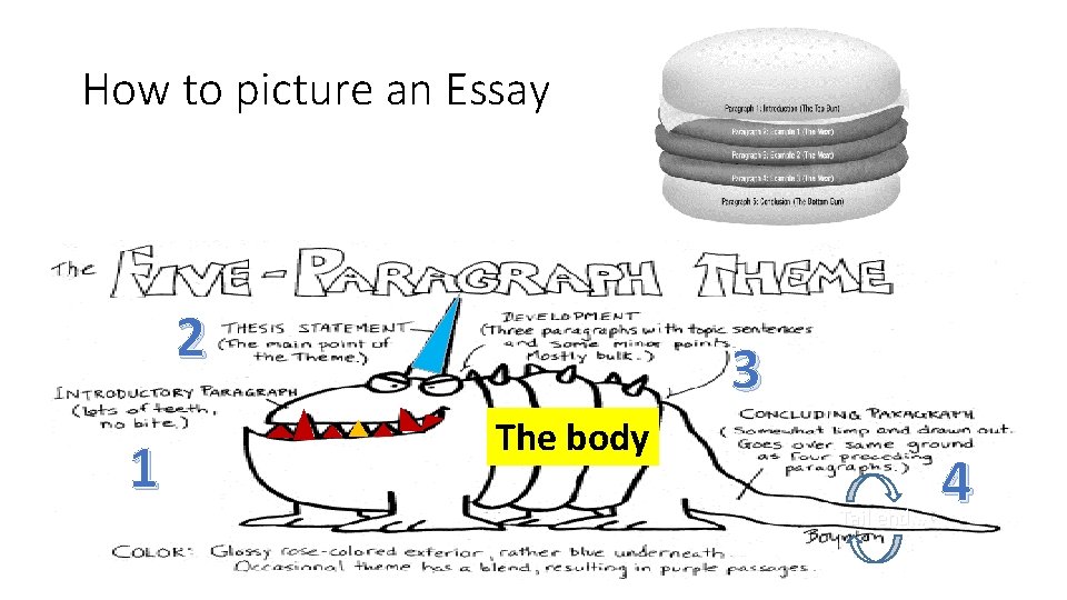 How to picture an Essay 2 1 3 The body Tail end… 4 