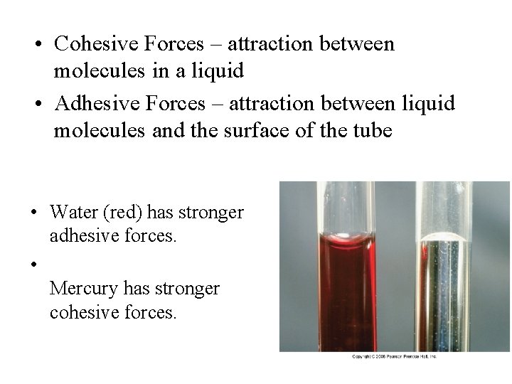  • Cohesive Forces – attraction between molecules in a liquid • Adhesive Forces