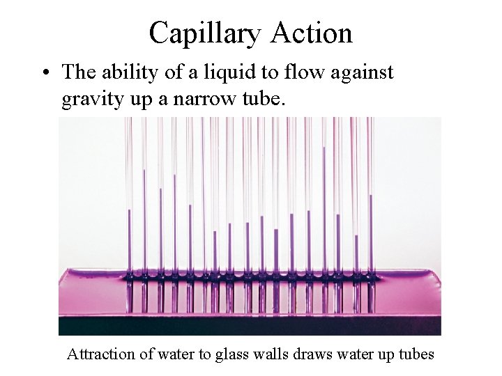 Capillary Action • The ability of a liquid to flow against gravity up a