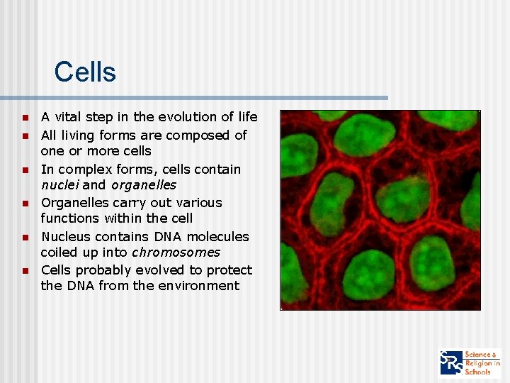 Cells n n n A vital step in the evolution of life All living