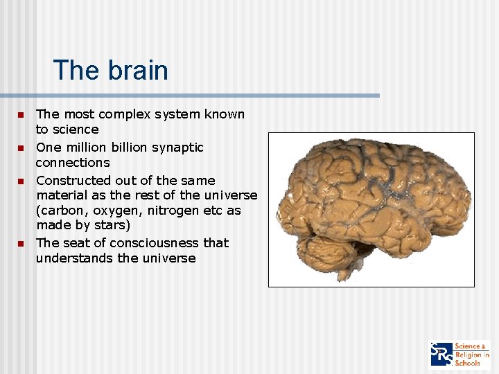 The brain n n The most complex system known to science One million billion