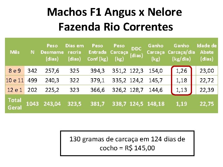 Machos F 1 Angus x Nelore Fazenda Rio Correntes Peso Dias em Peso Ganho