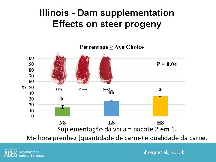 Illinois - Dam supplementation Effects on steer progeny Percentage ≥ Avg Choice 100 90