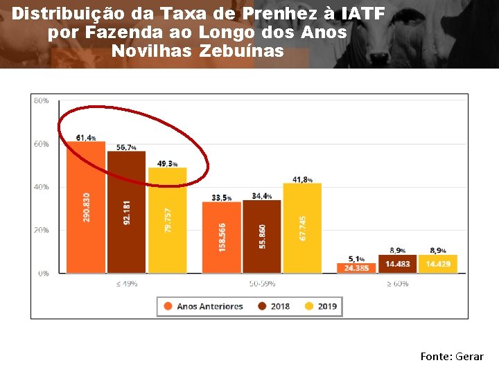 Distribuição da Taxa de Prenhez à IATF por Fazenda ao Longo dos Anos Novilhas