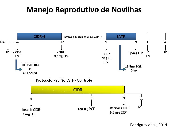 Manejo Reprodutivo de Novilhas CIDR-4 Dia -31 -24 -12 -CIDR O, 5 mg ECP