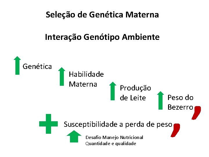 Seleção de Genética Materna Interação Genótipo Ambiente Genética Habilidade Materna Produção de Leite ,