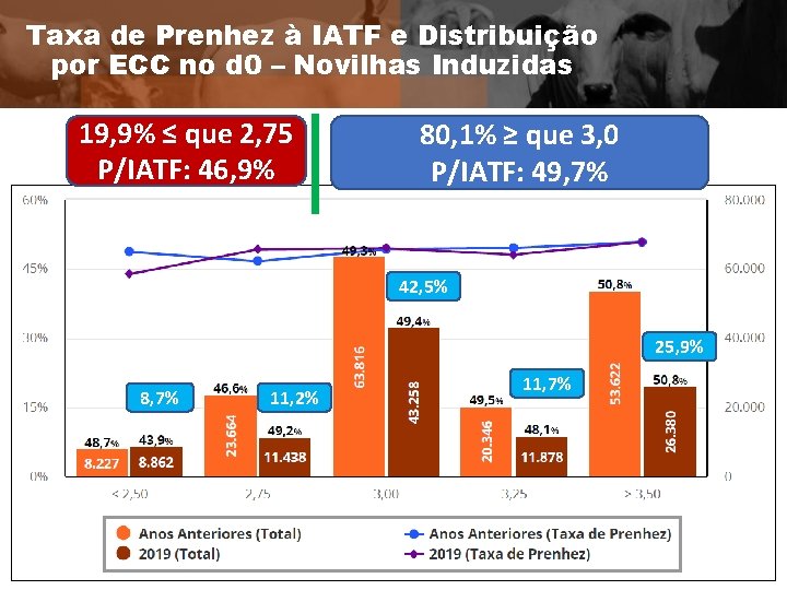 Taxa de Prenhez à IATF e Distribuição por ECC no d 0 – Novilhas