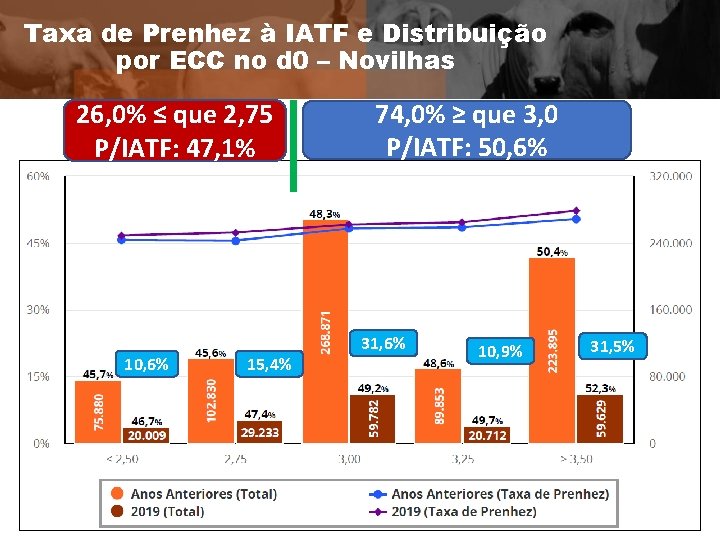Taxa de Prenhez à IATF e Distribuição por ECC no d 0 – Novilhas