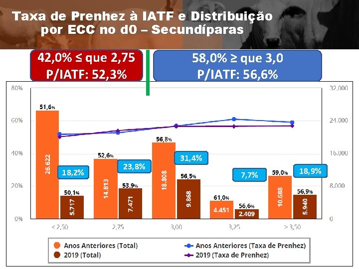 Taxa de Prenhez à IATF e Distribuição por ECC no d 0 – Secundíparas