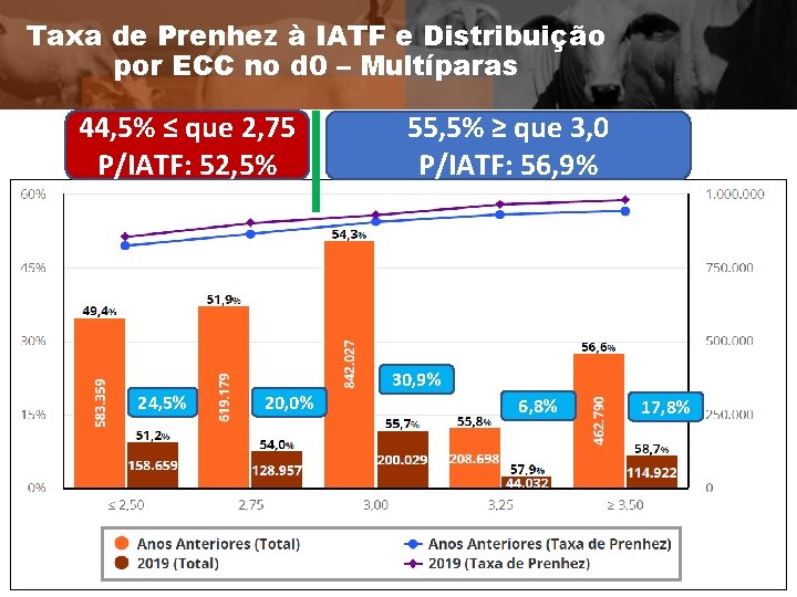 Taxa de Prenhez à IATF e Distribuição por ECC no d 0 – Multíparas