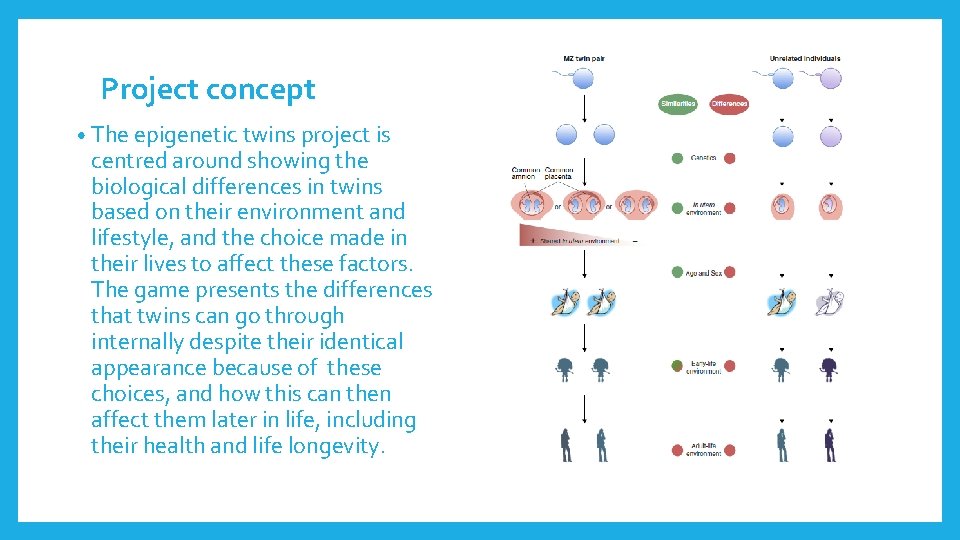 Project concept • The epigenetic twins project is centred around showing the biological differences