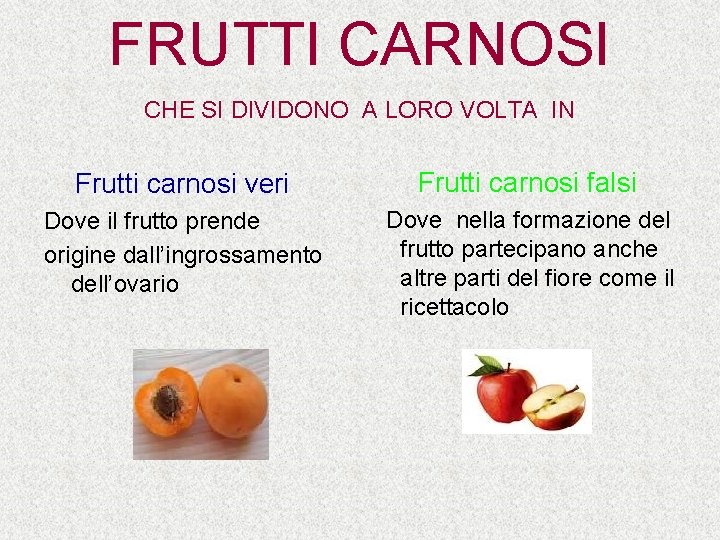 FRUTTI CARNOSI CHE SI DIVIDONO A LORO VOLTA IN Frutti carnosi veri Frutti carnosi