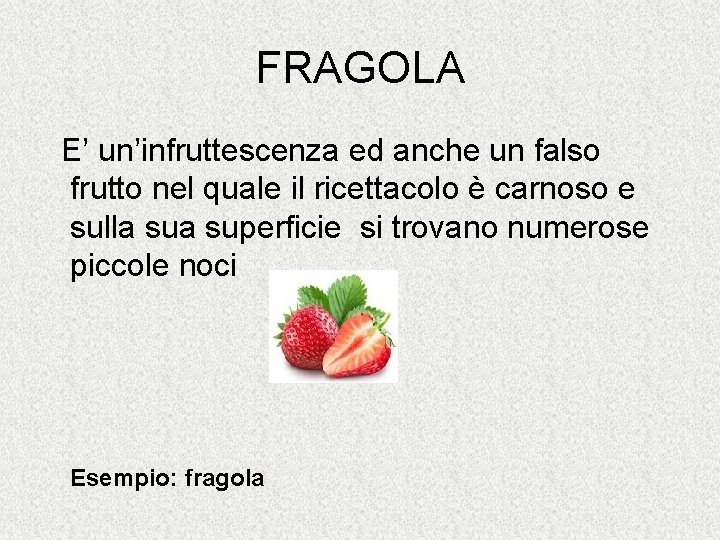 FRAGOLA E’ un’infruttescenza ed anche un falso frutto nel quale il ricettacolo è carnoso