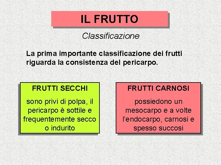 IL FRUTTO Classificazione La prima importante classificazione dei frutti riguarda la consistenza del pericarpo.