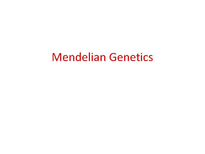 Mendelian Genetics 