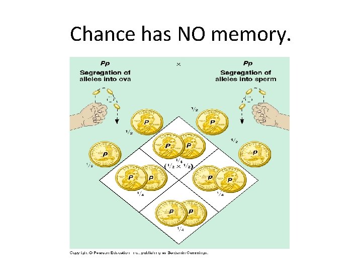 Chance has NO memory. 