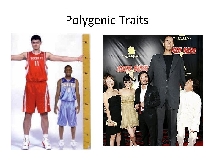 Polygenic Traits 