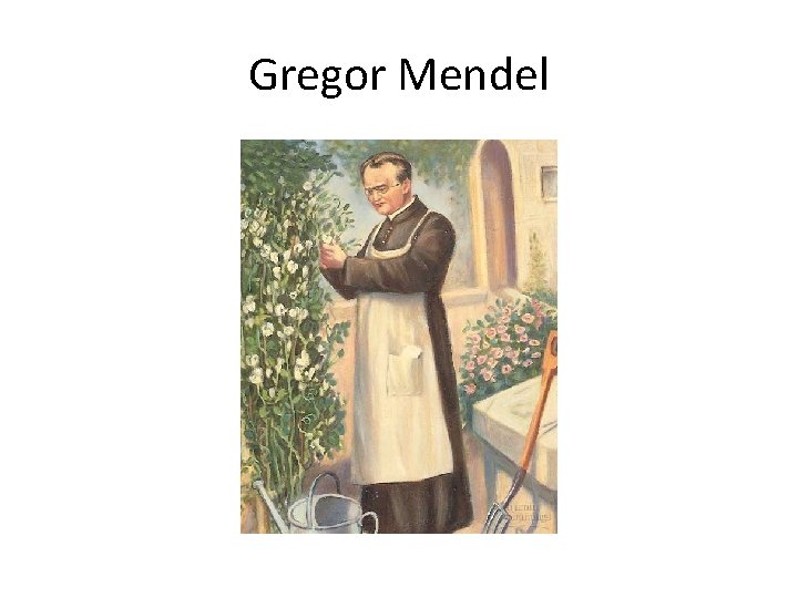 Gregor Mendel 