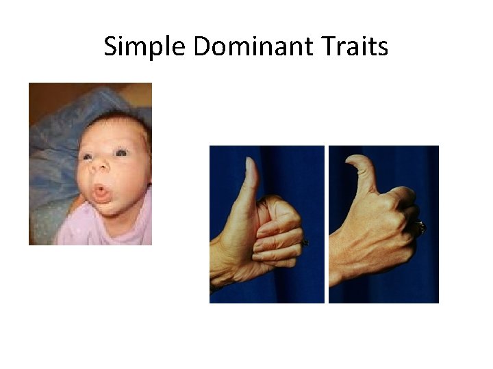 Simple Dominant Traits 