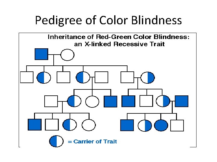Pedigree of Color Blindness 