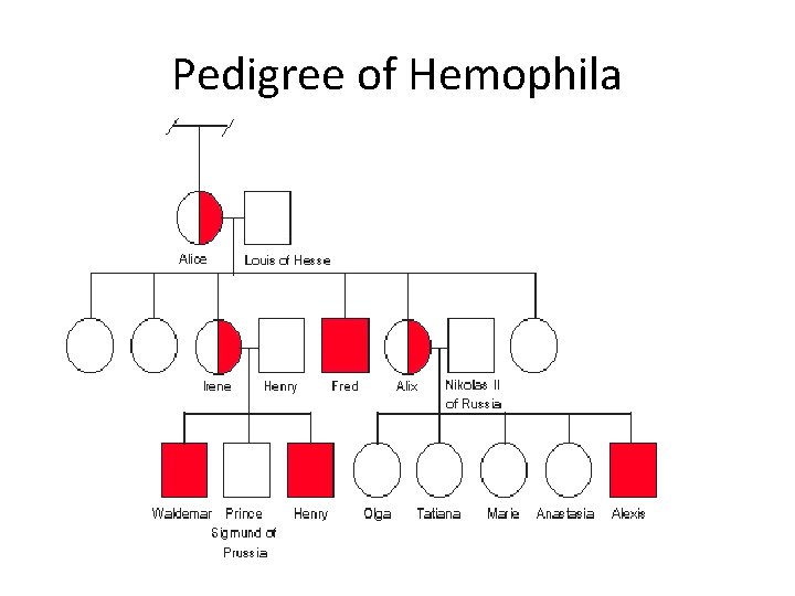 Pedigree of Hemophila 